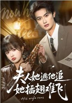 《夫人她逃他追，她插翅难飞》