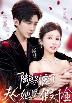 《陆总别宠了，夫人她是假千金》