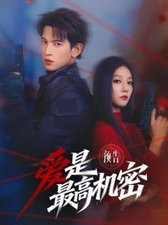 《爱是最高机密》