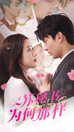 《苏秘书为何那样》