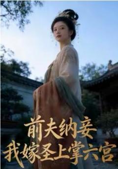 《前夫纳妾，我嫁圣上掌六宫》