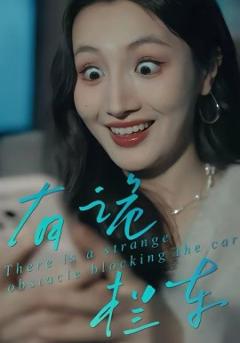 《有诡拦车》
