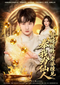 《赘婿炼丹，老婆撞见，奉我为仙人》