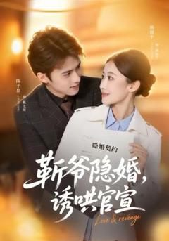 《斩爷隐婚，诱哄官宣》