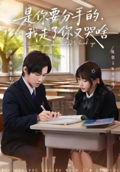 《是你要分手的，我走了你又哭啥》