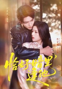 《恰好暗里逢他》