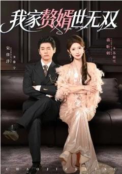 《我家赘婿世无双》