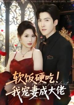《软饭硬吃！我宠妻成大佬》