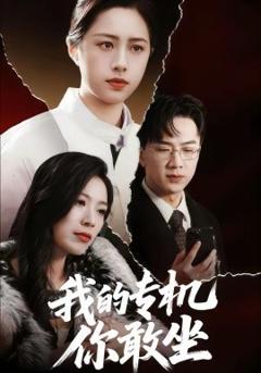 《我的专机你敢坐》