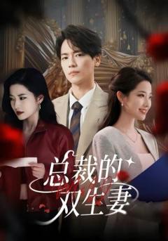 《总裁的双生妻》
