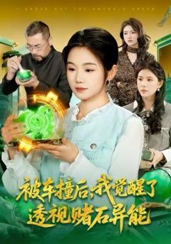 《被车撞后，我觉醒了透视赌石异能了》