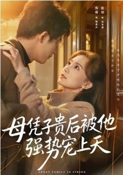 《母凭子贵后被他强势宠上天》