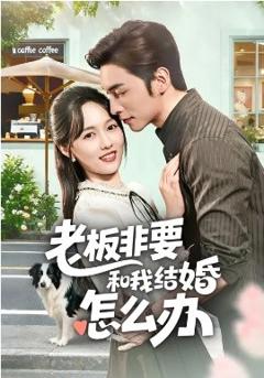 《老板非要和我结婚怎么办》