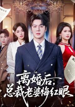 《离婚后，总裁老婆悔红眼》