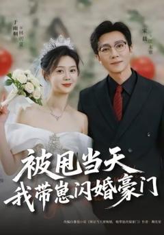 《被甩当天我带崽闪婚豪门》