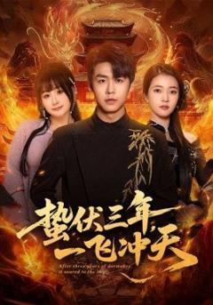 《蛰伏三年，一飞冲天》