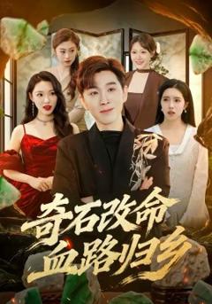 《奇石改命血路归乡》