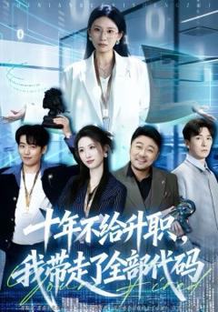 《十年不给升职，我带走了全部代码》