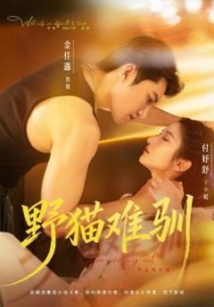 《野猫难驯》