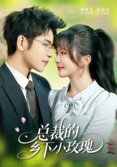 《总裁的乡下小玫瑰》