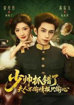 少帅抓错了，夫人不偷情报只偷心