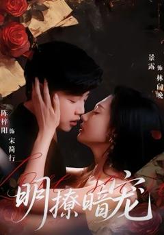 《明撩暗宠》
