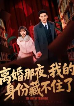 《离婚那夜，我的身份藏不住了》