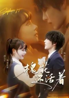 《槐花还活着》