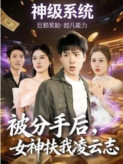《被分手后，女神扶我凌云志》
