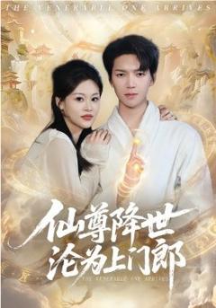 《仙尊降世沦为上门郎》