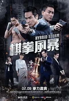 棋拳风暴[电影解说]