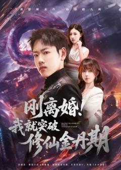 《刚离婚！我就突破修仙金丹期》