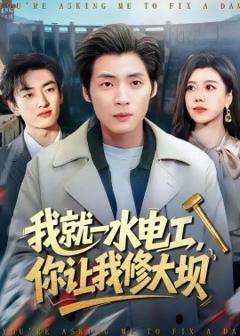《我就一水电工，你让我修大坝》