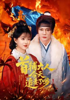 《首辅大人今天追妻了吗》