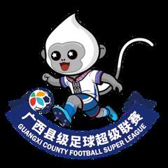 广西县超 玉林市北流市队8-1贵港市港南区队20260417
