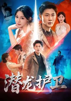 《潜龙护卫》