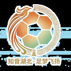 湖北省城市足球联赛 宜昌东阳光队VS孝感孝傲江湖队20260418