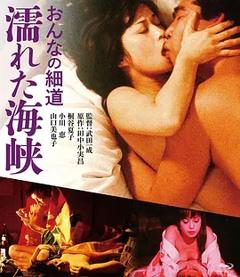 《女人的小道：濡湿海峡[电影解说]》