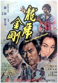 《龙虎金刚1973[电影解说]》