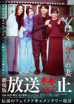 放送禁止 我的三位妻子[电影解说]