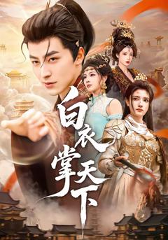 《白衣掌天下》