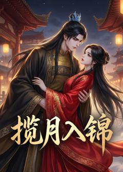 《揽月入锦》