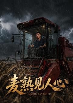 《麦熟见人心》