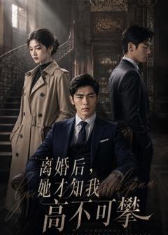 《离婚后，她才知我高不可攀》