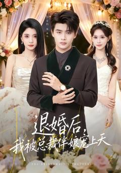 《退婚后，我被总裁伴娘宠上天》