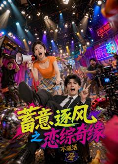 《蓄意逐风之恋综奇缘》