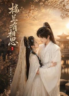 《楼兰有相思》