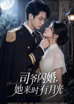 《司爷闪婚，她来时有月光》