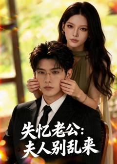《失忆老公：夫人别乱来》
