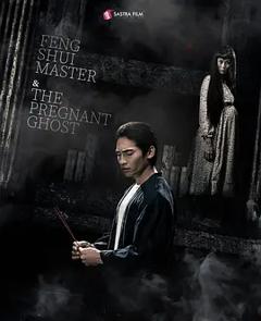 《风水大师与孕鬼》